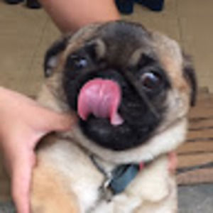 Meet your Posher, Tracy